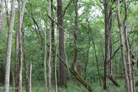 2900 Springfield Rd, Senatobia, MS 38668 photo 40