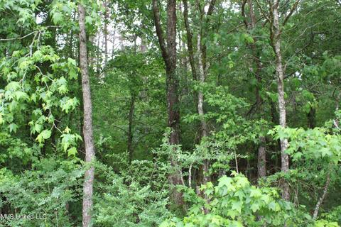 2900 Springfield Rd, Senatobia, MS 38668 photo 37
