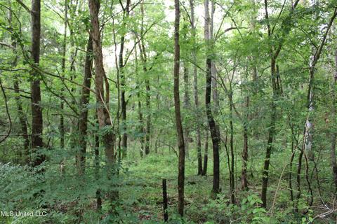 2900 Springfield Rd, Senatobia, MS 38668 photo 3