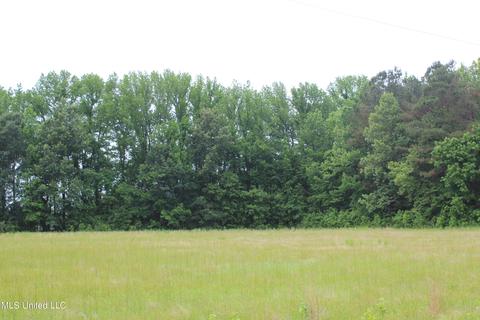 2900 Springfield Rd, Senatobia, MS 38668 photo 12