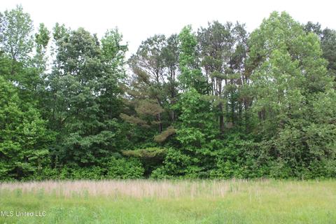 2900 Springfield Rd, Senatobia, MS 38668 photo 28