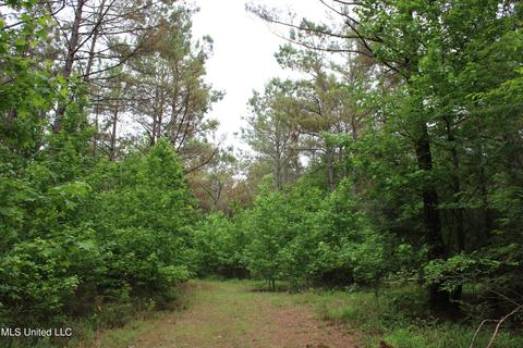 2900 Springfield Rd, Senatobia, MS 38668 photo 7