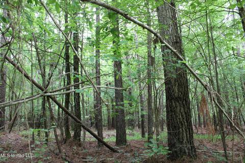 2900 Springfield Rd, Senatobia, MS 38668 photo 42