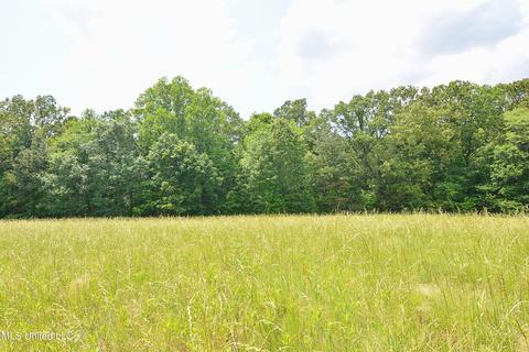 2603 Plank Rd, Hernando, MS 38632