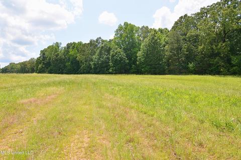 2603 Plank Rd, Hernando, MS 38632 photo 2