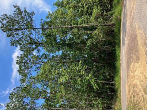 lot68 Aupuni Pl, Diamondhead, MS 39525