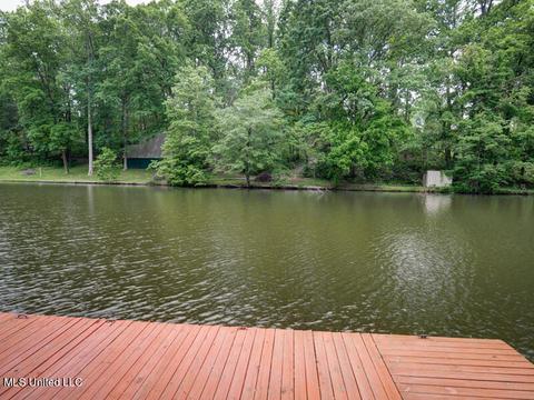 5192 Hilo Dr, Hernando, MS 38632 photo 44