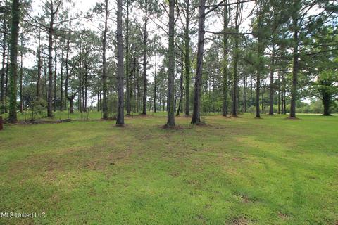 131 D Shipman Firetower Rd, Lucedale, MS 39452 photo 40