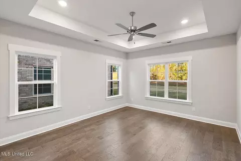 Other - 3074 Meadows Way, Hernando, MS 38632 photo 4 of 12