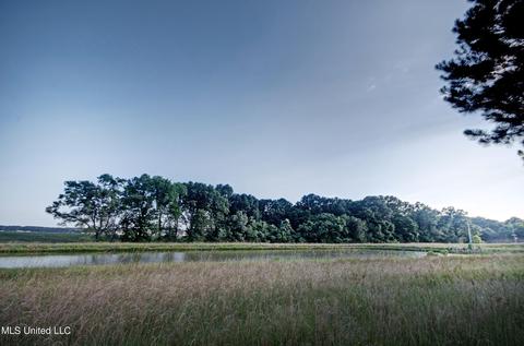 165 Shore View Dr, Madison, MS 39110 photo 7