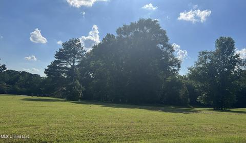 0 Pearlie Owens Dr, Byram, MS 39272