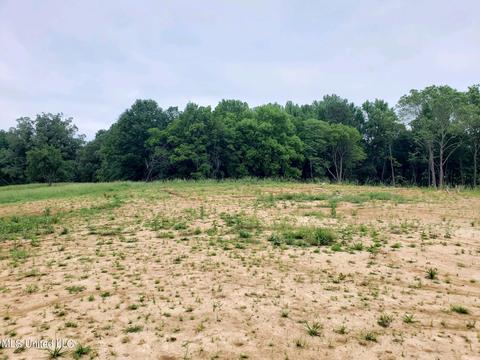 Yellow Dog Road, Senatobia, MS 38668
