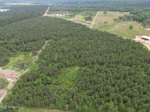000 Wire Rd, Perkinston, MS 39573 photo 9
