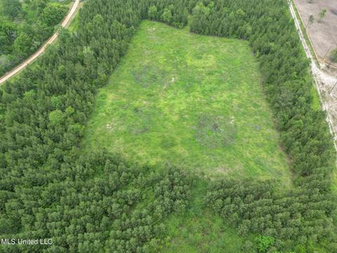 000 Wire Rd, Perkinston, MS 39573 photo 4