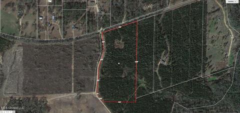 000 Wire Rd, Perkinston, MS 39573 photo 3