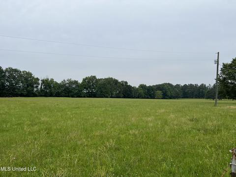 971 Denson Rd, Morton, MS 39117 photo 16