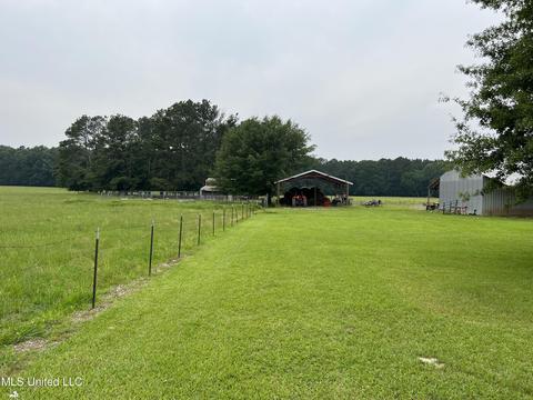 971 Denson Rd, Morton, MS 39117 photo 11