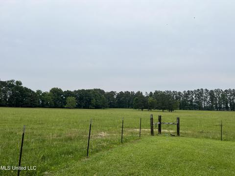 971 Denson Rd, Morton, MS 39117 photo 13