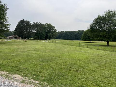 971 Denson Rd, Morton, MS 39117 photo 7