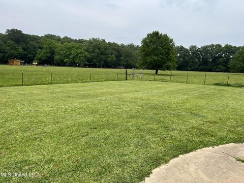 971 Denson Rd, Morton, MS 39117 photo 19