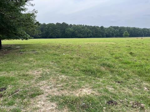 971 Denson Rd, Morton, MS 39117 photo 9