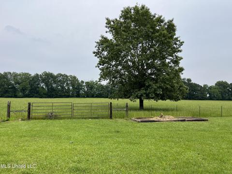 971 Denson Rd, Morton, MS 39117 photo 14