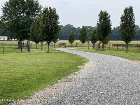 971 Denson Rd, Morton, MS 39117 photo 4