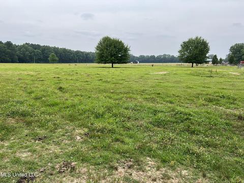 971 Denson Rd, Morton, MS 39117 photo 8