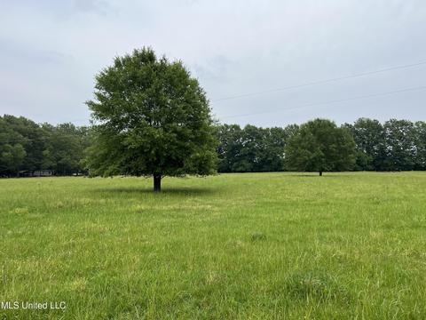 971 Denson Rd, Morton, MS 39117 photo 17