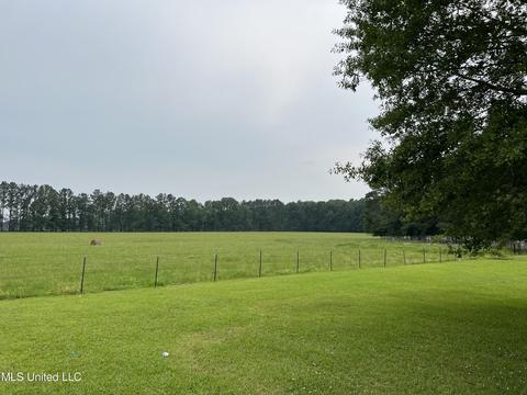 971 Denson Rd, Morton, MS 39117 photo 15