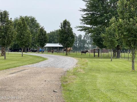 971 Denson Rd, Morton, MS 39117 photo 5