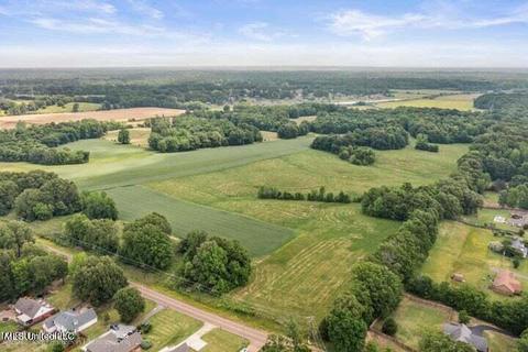 0 Jaybird Rd, Hernando, MS 38632 photo 2