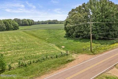 0 Jaybird Rd, Hernando, MS 38632 photo 4