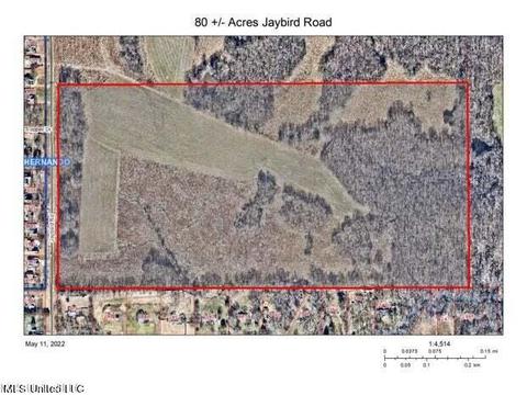 0 Jaybird Rd, Hernando, MS 38632 photo 5