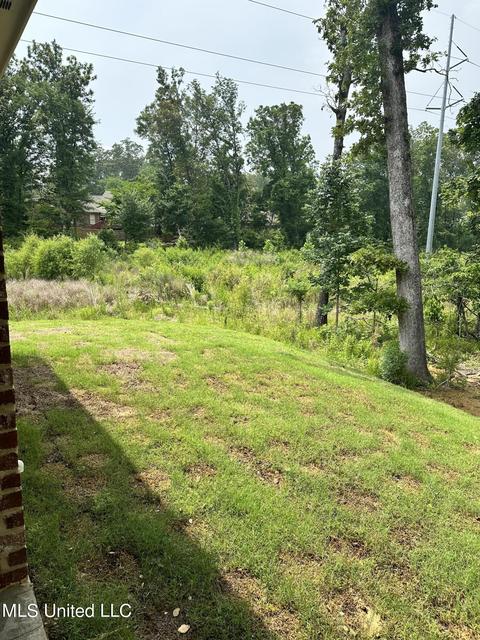 230 Crestwood Pl, Madison, MS 39110 photo 22