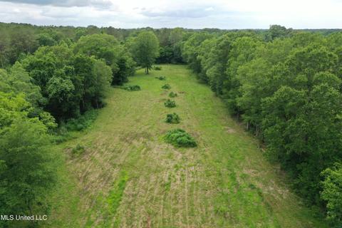 233 Horseshoe Ln, Flora, MS 39071