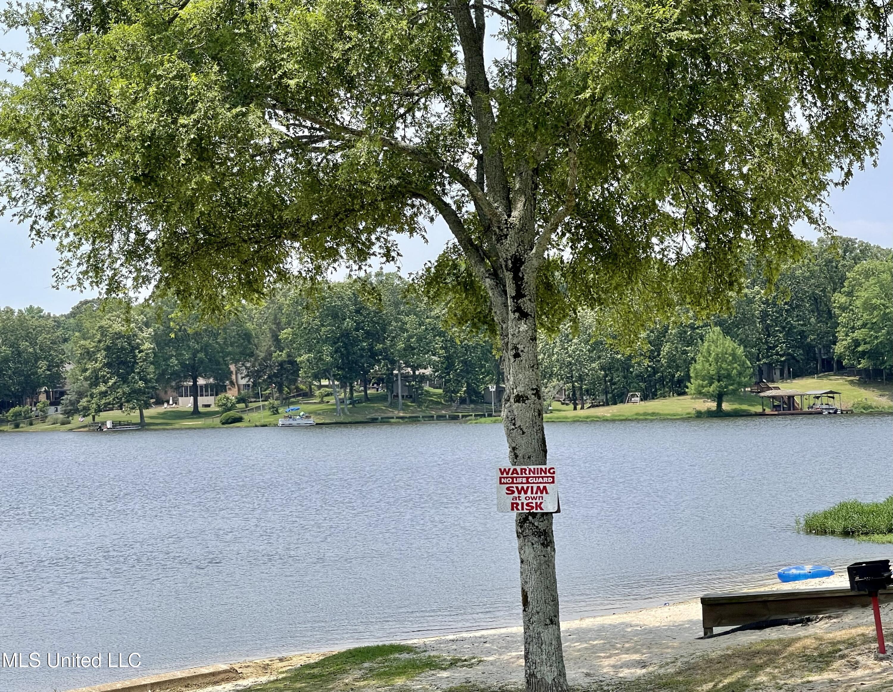 2681 Beaver Head Dr, Nesbit, MS 38651 photo 42
