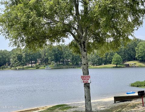 2681 Beaver Head Dr, Nesbit, MS 38651 photo 42