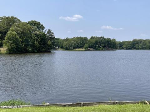 2681 Beaver Head Dr, Nesbit, MS 38651 photo 43