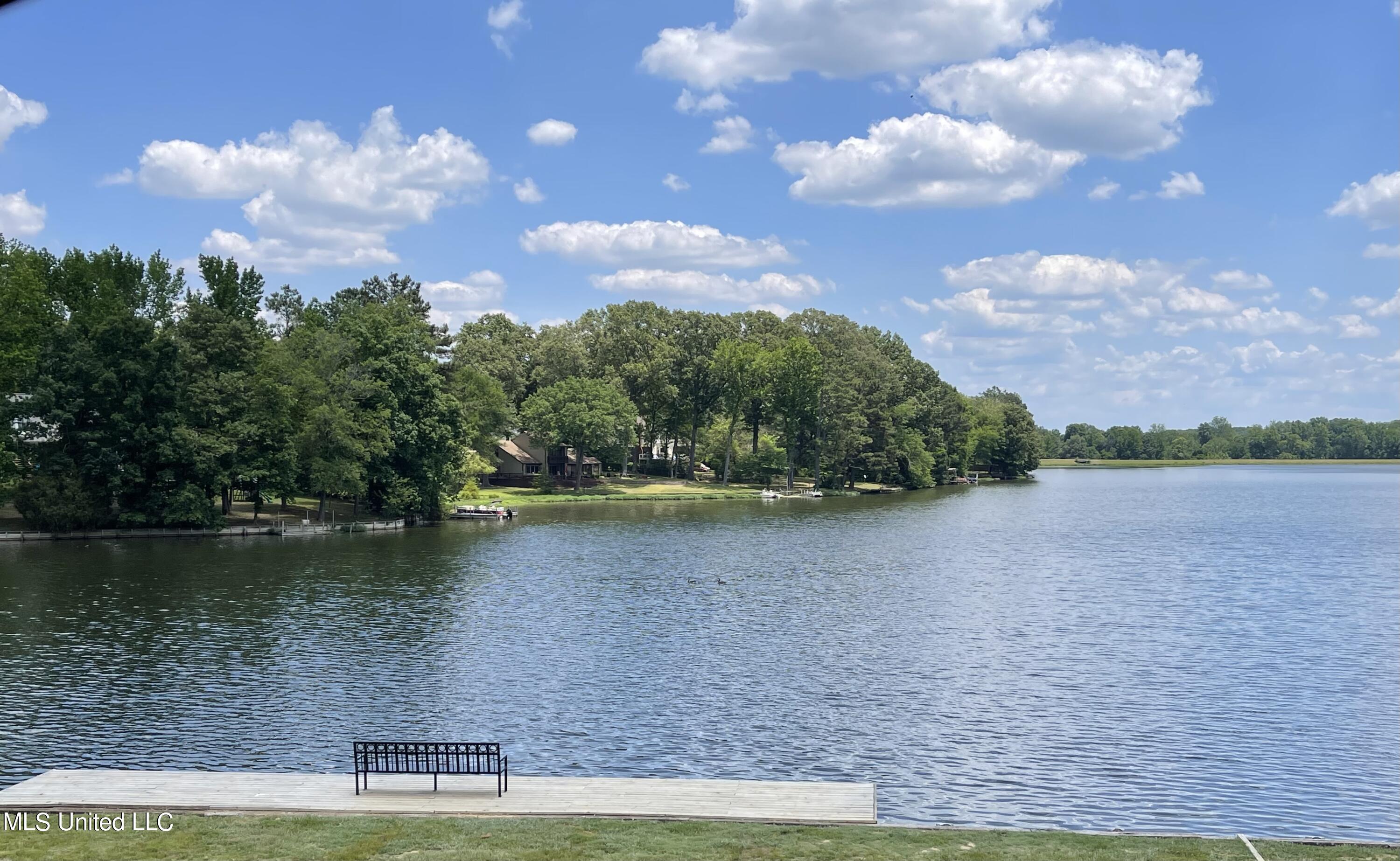 2681 Beaver Head Dr, Nesbit, MS 38651 photo 41