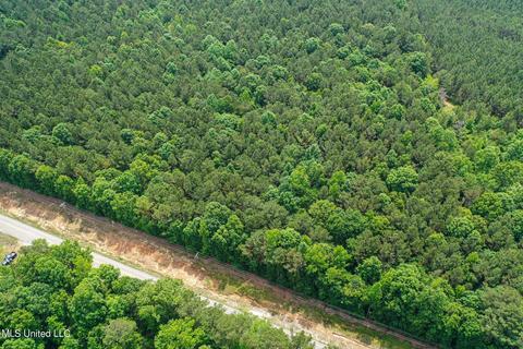 Hwy 790, Ackerman, MS 39735 photo 5