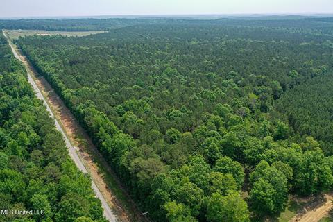 Hwy 790, Ackerman, MS 39735 photo 7