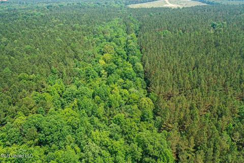 Hwy 790, Ackerman, MS 39735 photo 12