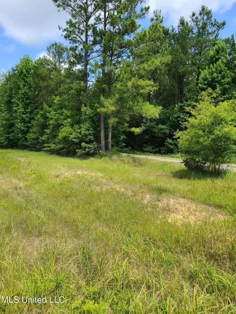 Nhn Broome School Road, Perkinston, MS 39573