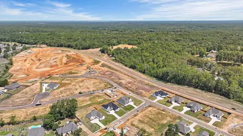 429 Assurance Way, Brandon, MS 39042 photo 52