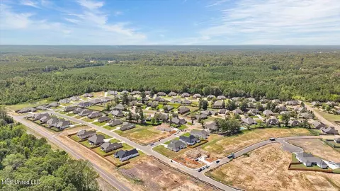 429 Assurance Way, Brandon, MS 39042 photo 55