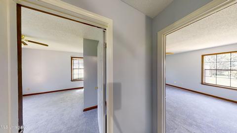4150 Lauderdale Rd, Hernando, MS 38632 photo 17