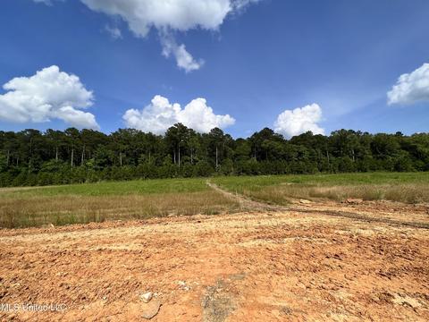 152 Landry Dr, Brandon, MS 39047 photo 24