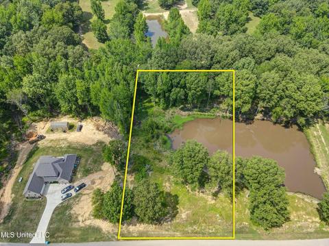 3144 Nikki Lake Dr, Nesbit, MS 38651 photo 1