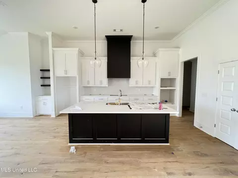 427 Assurance Way, Brandon, MS 39042 photo 6